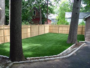 Artificial Grass Photos: Artificial Pet Turf Isla Vista California Landscape